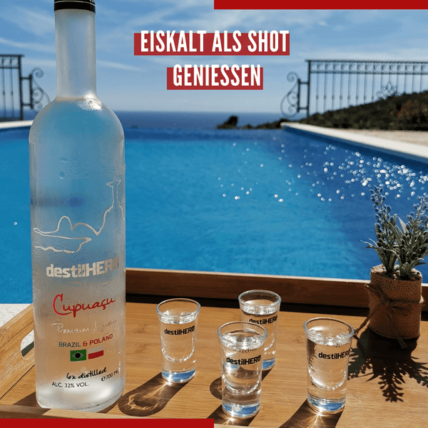 destilHEROs Party Pack (6 Flaschen)